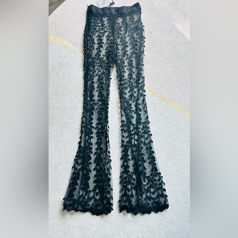 Sheer flare embroidery pants